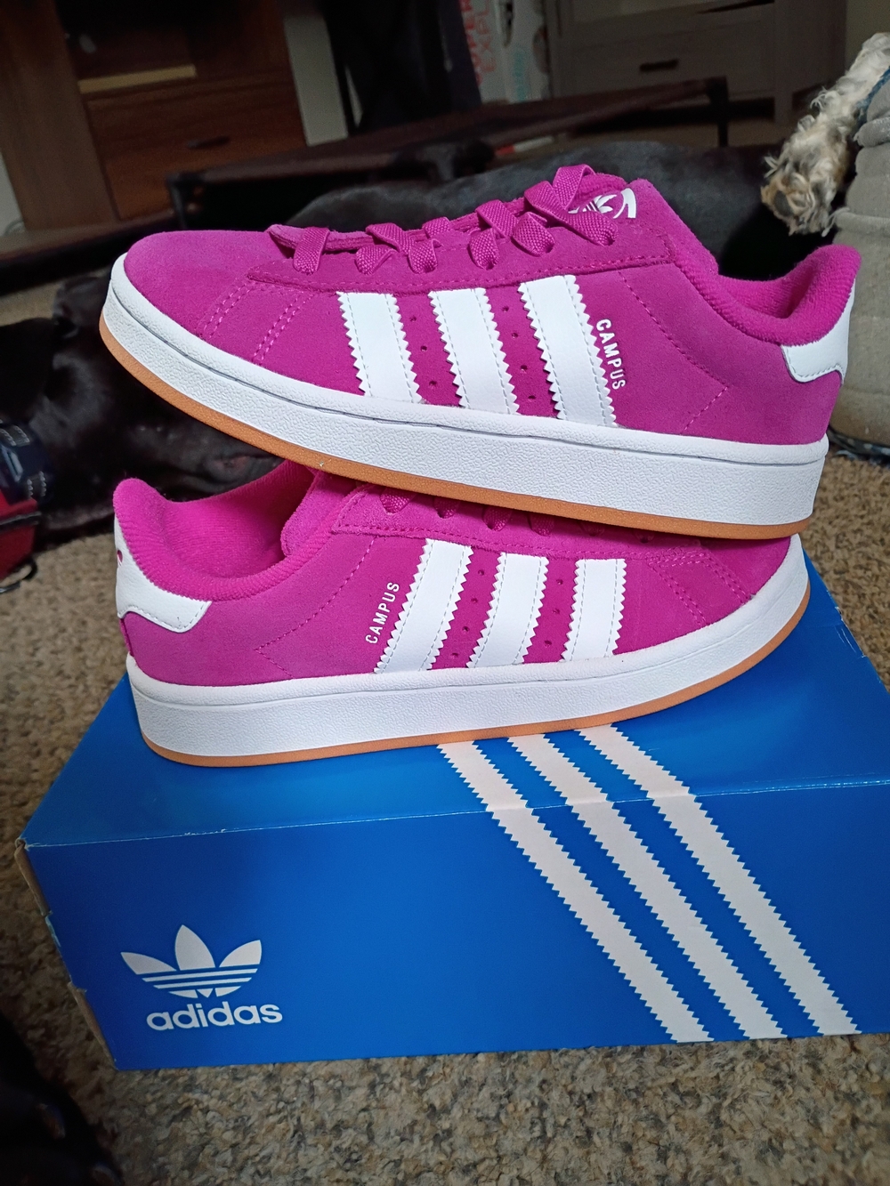 adidas Campus Suede Sneakers in Bright Pink & White